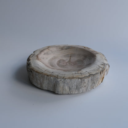 Accessory Tray #226