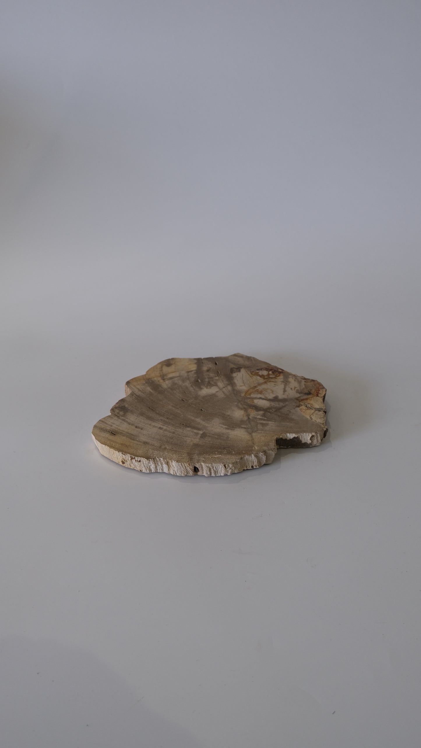 Wood Plate Medium (White)