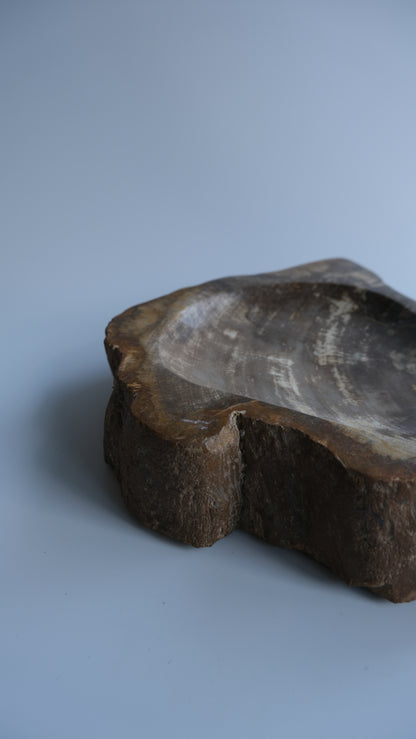 Accessory Tray #250