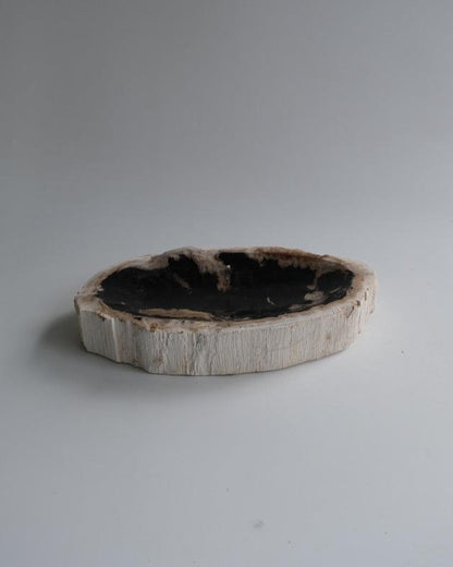 Accessory Tray #197