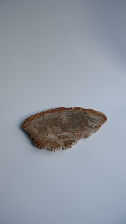 Wood Plate Medium #002