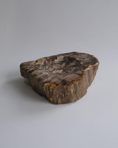 Accessory Tray #220