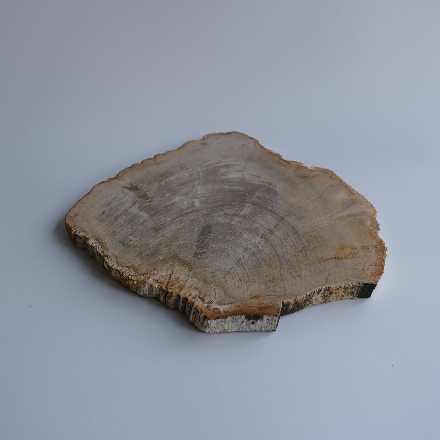 Wood Plate #019