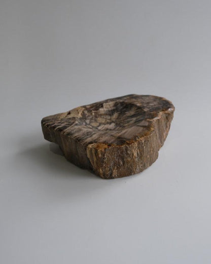 Accessory Tray #220