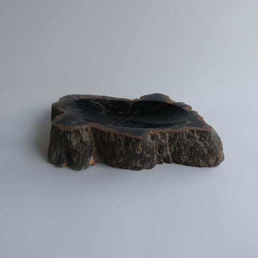 Accessory Tray #203