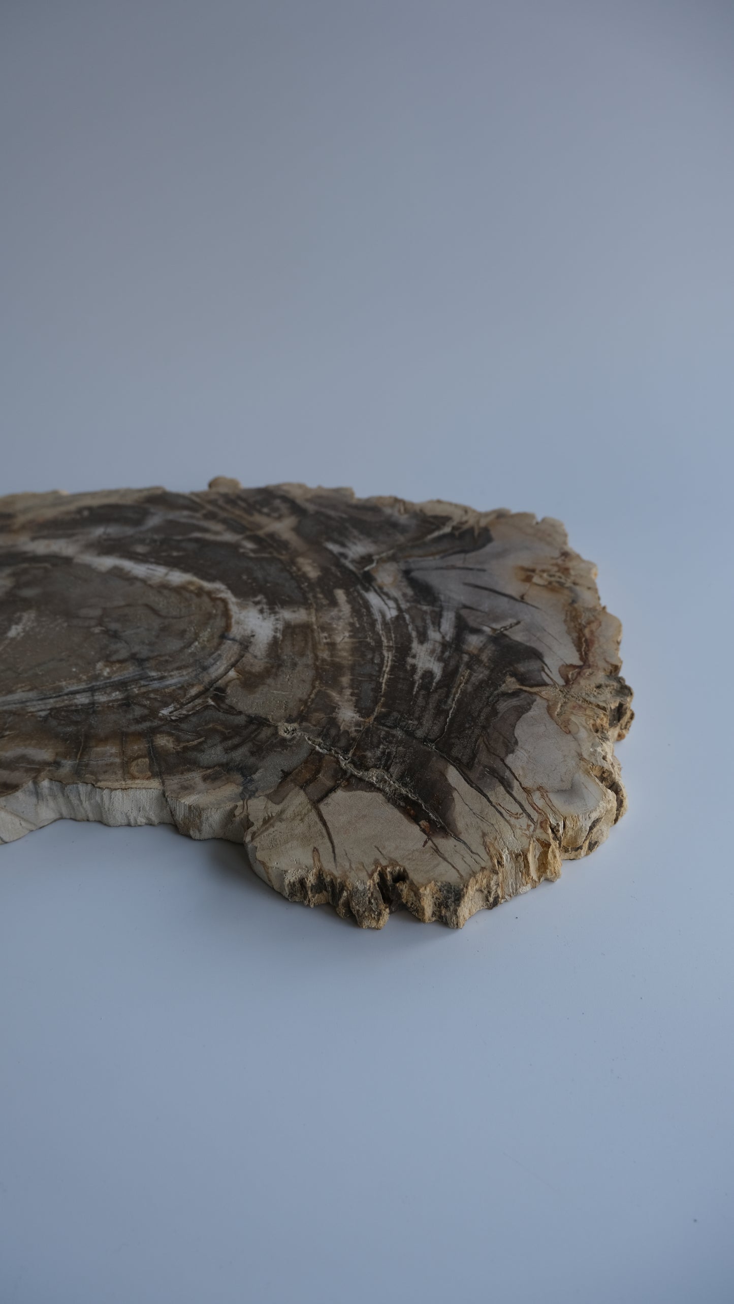 Wood Plate #018