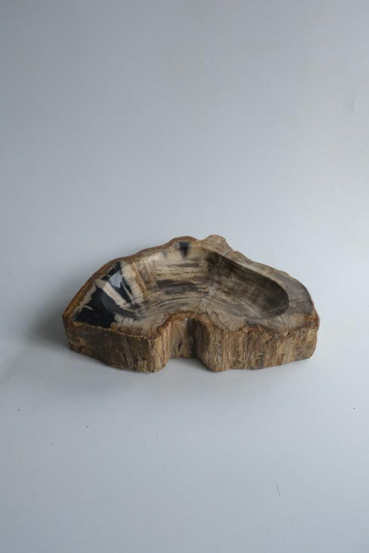 Accessory Tray #183