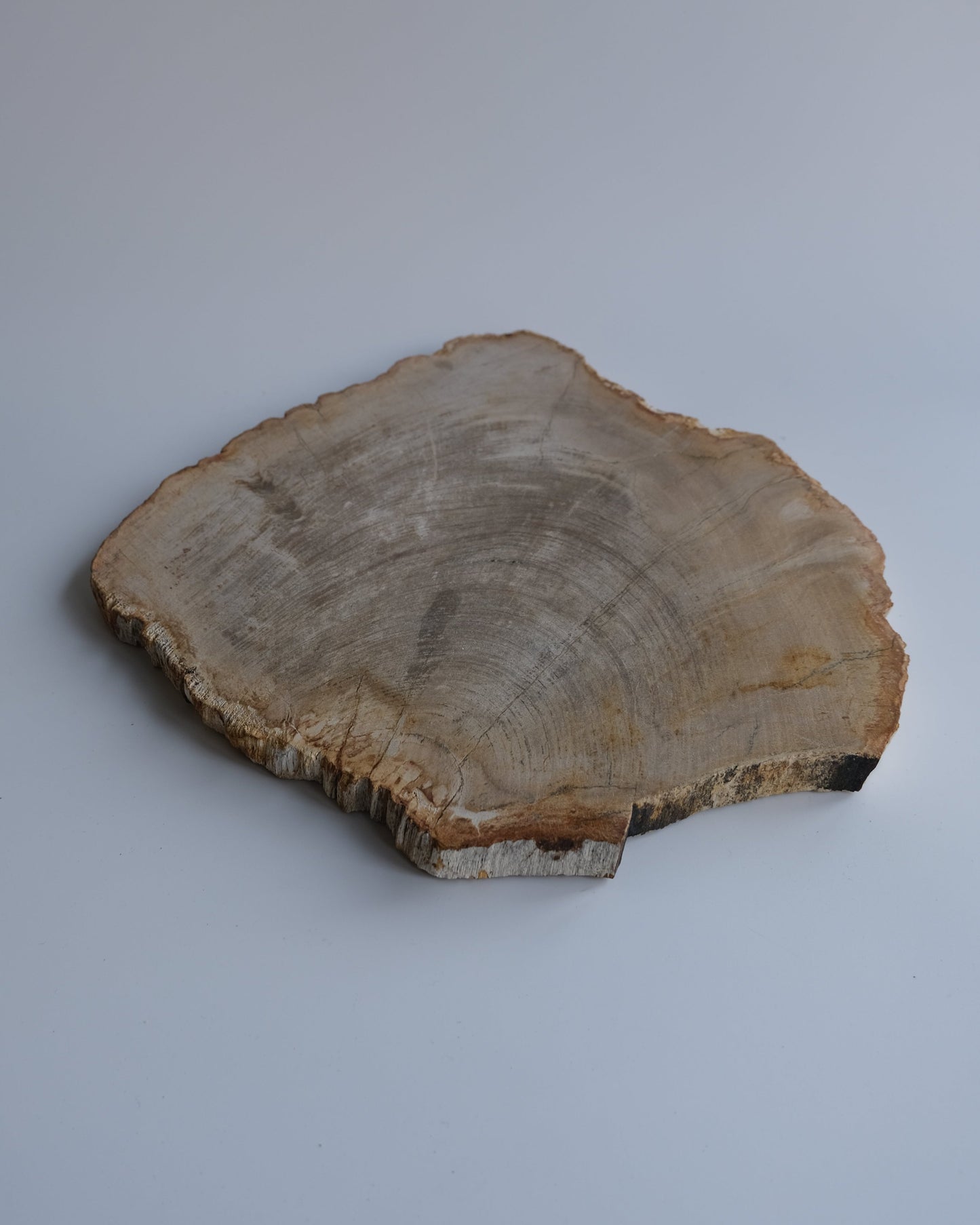 Wood Plate #019