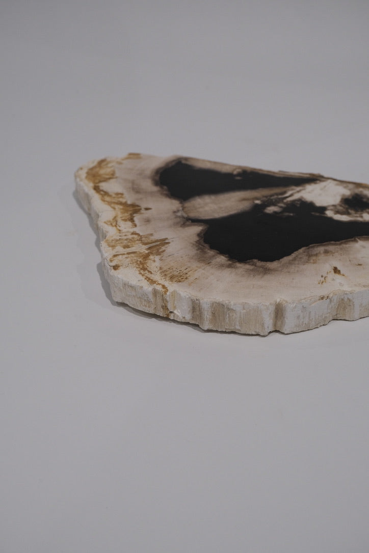 Wood Plate #004