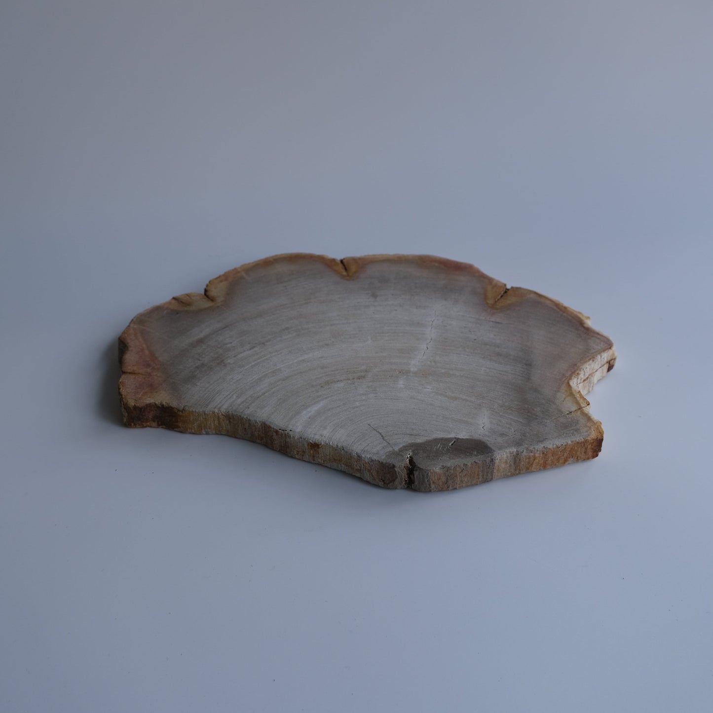 Wood Plate #010