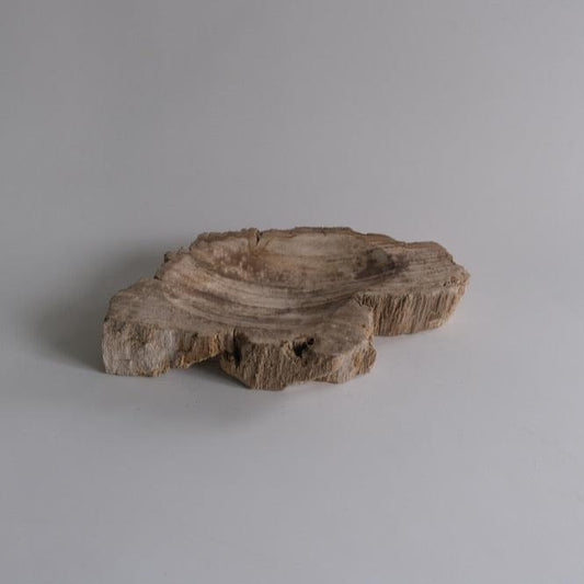 Accessory Tray #146