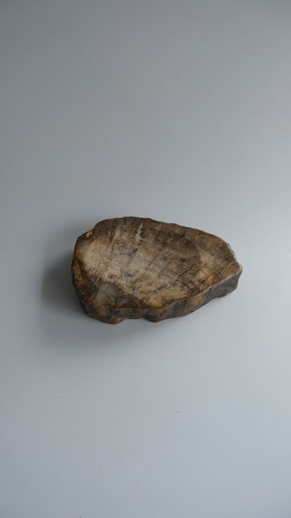 Accessory Tray #161