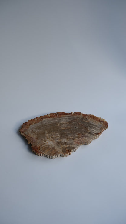 Wood Plate Medium #002