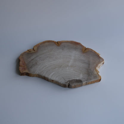 Wood Plate #010