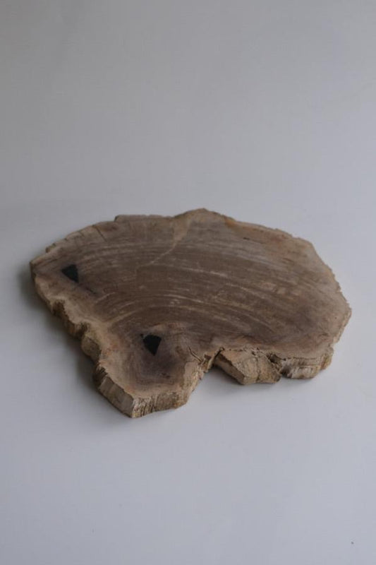 Wood Plate #014