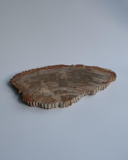 Wood Plate Medium #002