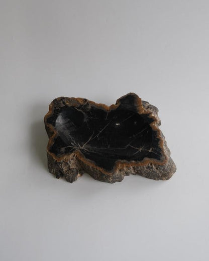 Accessory Tray #203