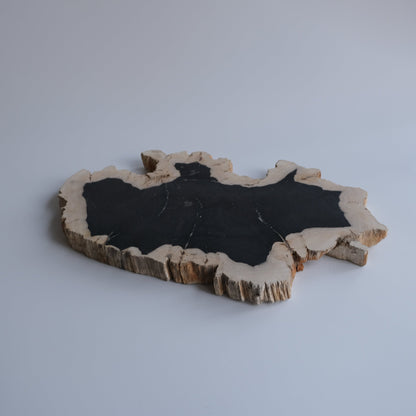 Wood Plate #020