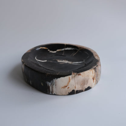 Accessory Tray #230