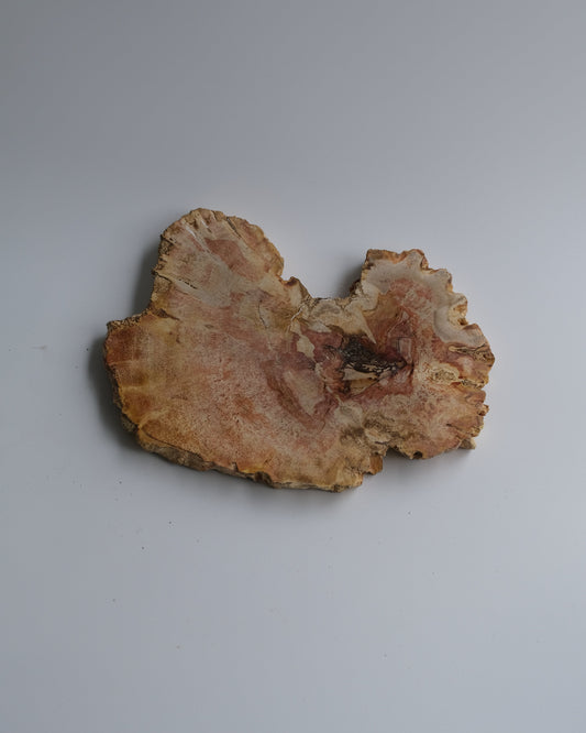 Wood Plate Small #013