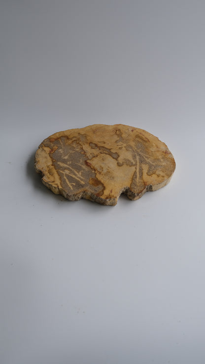 Wood Plate Small #015