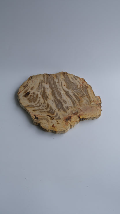 Wood Plate Medium #014