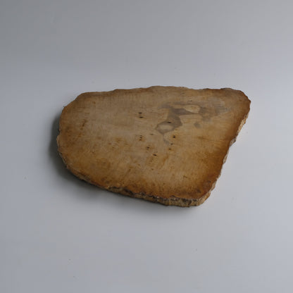 Wood Plate Medium #015