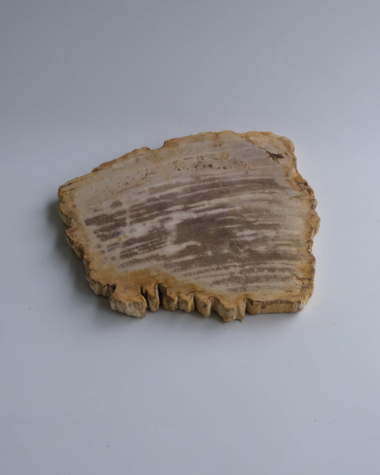 Wood Plate Medium #016
