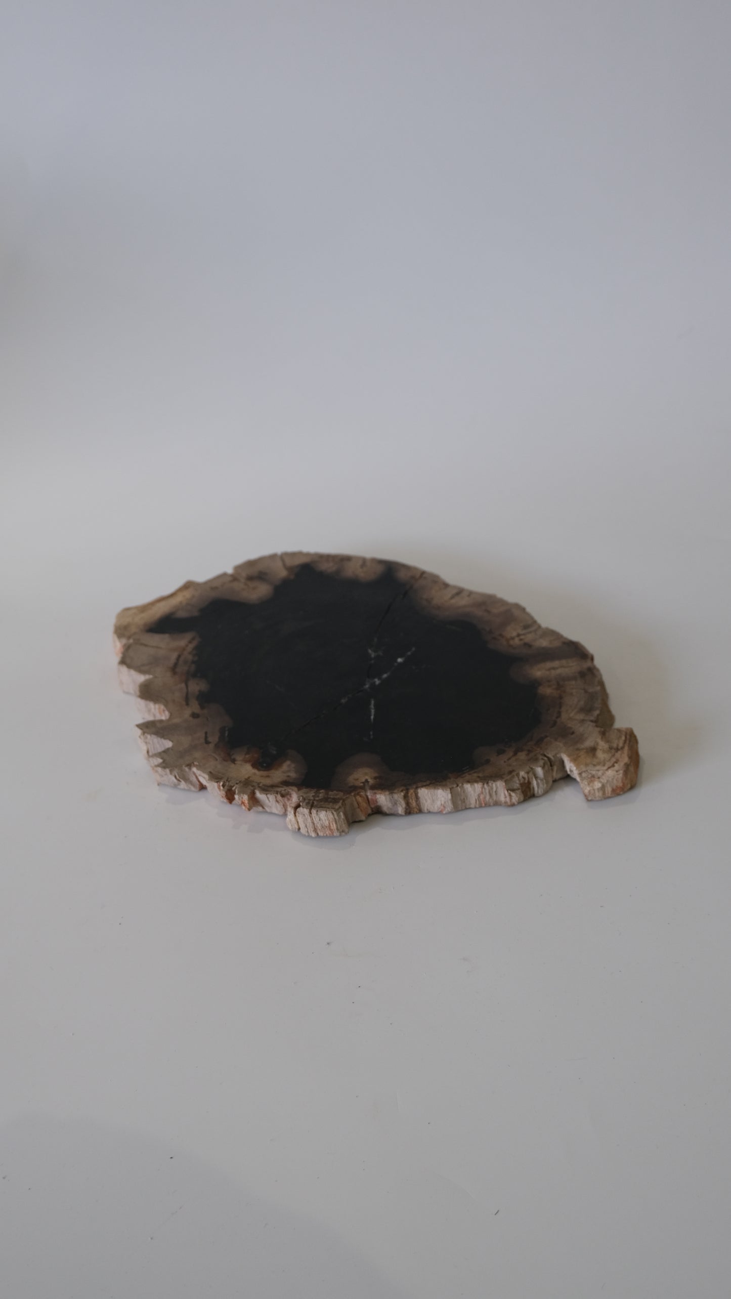 Wood Plate #006