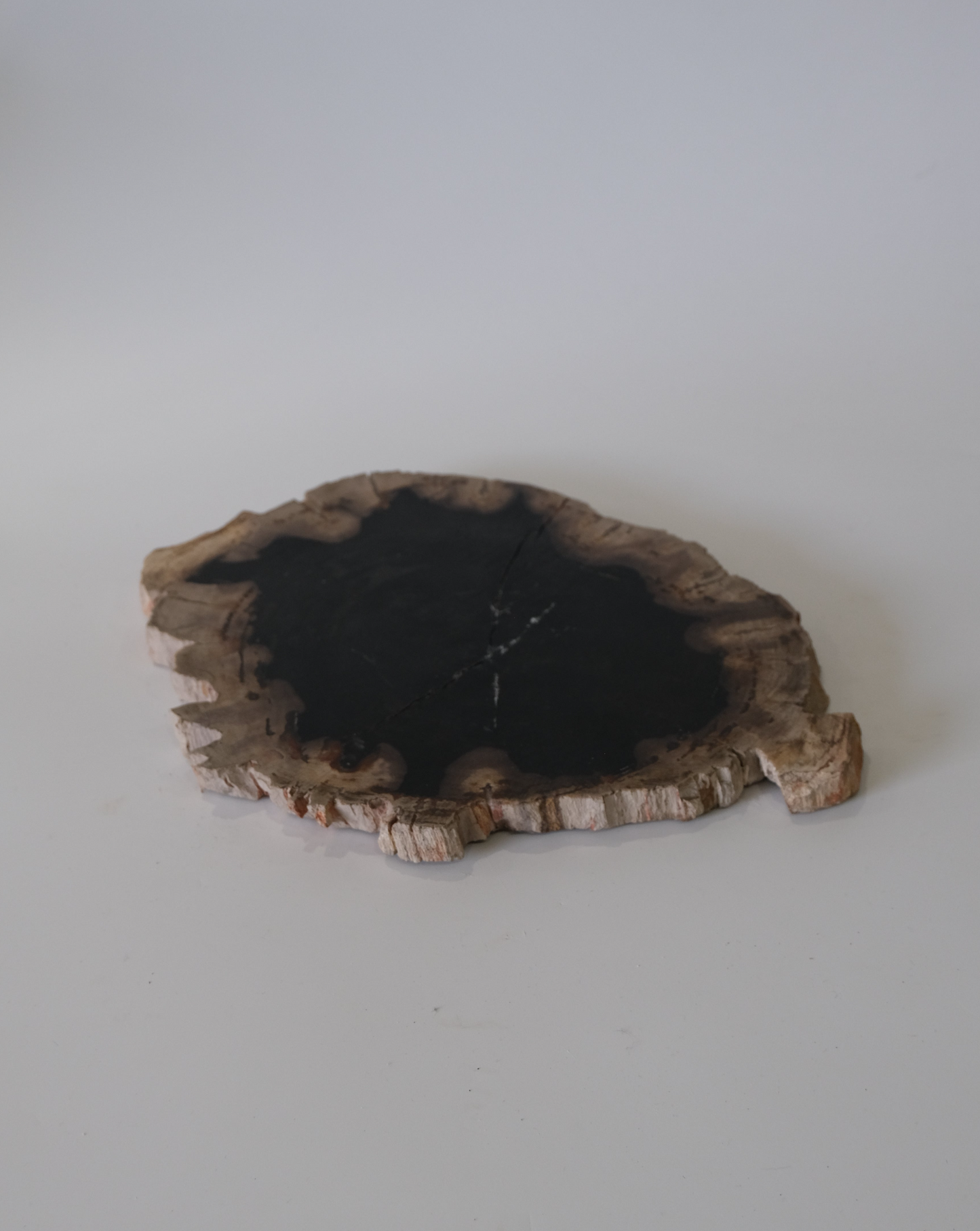 Wood Plate #006