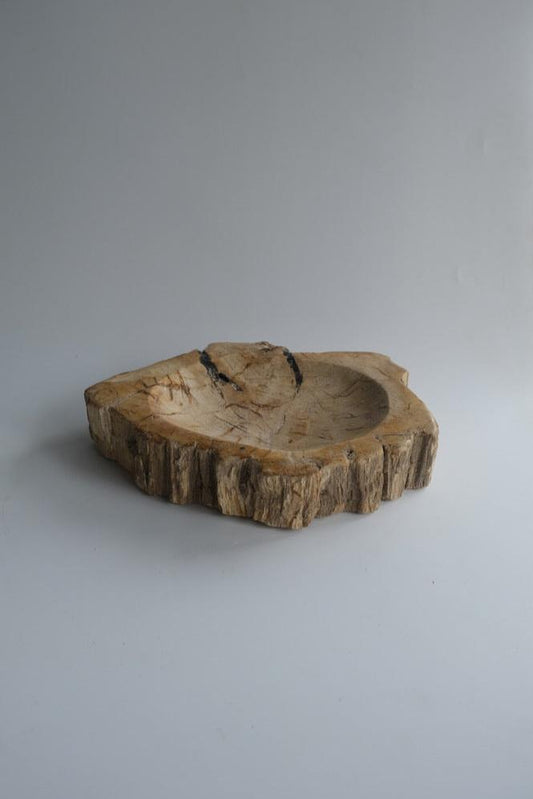 Accessory Tray #165