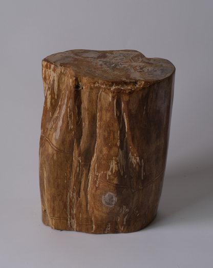 Stool #003