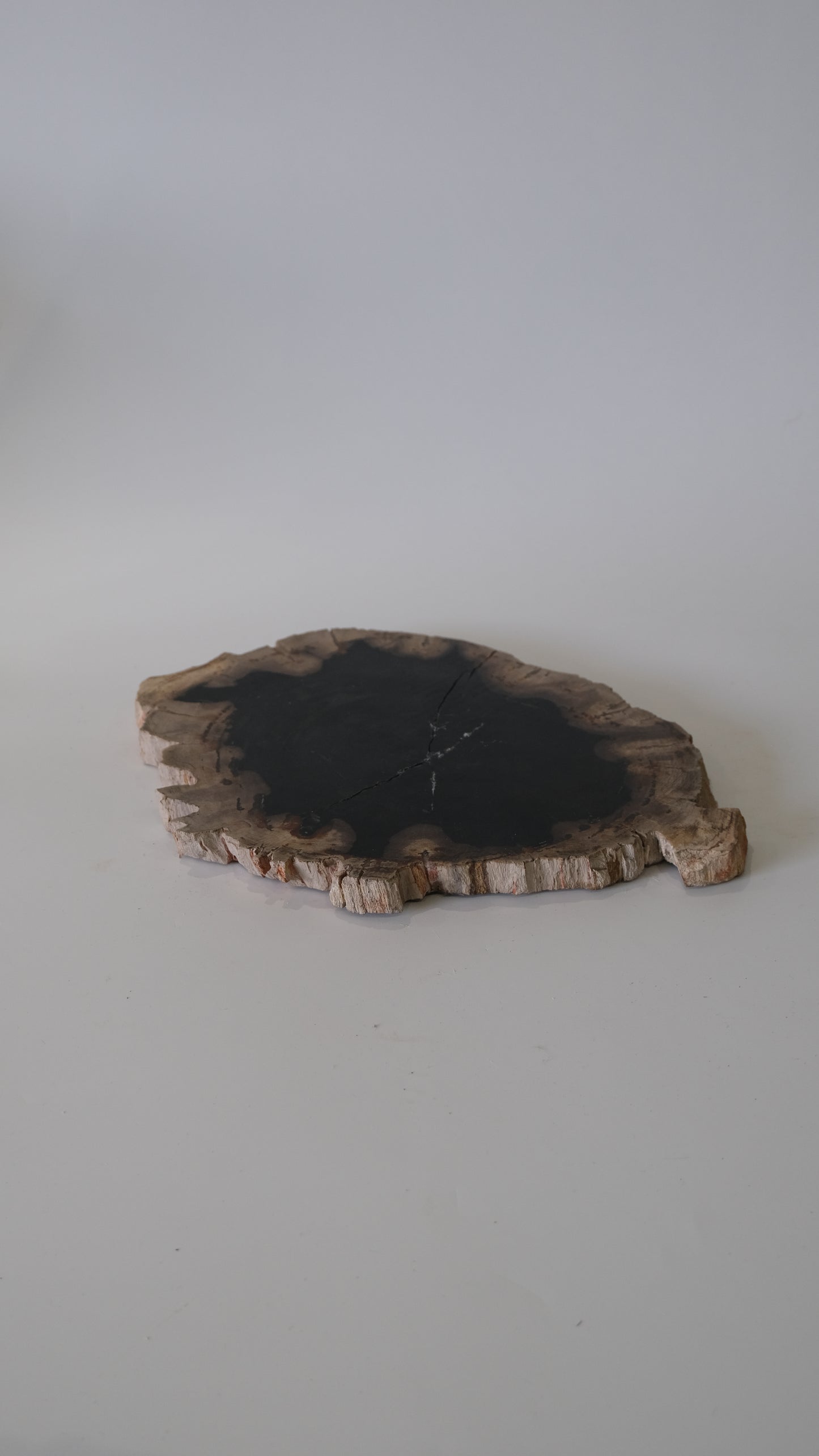 Wood Plate #006