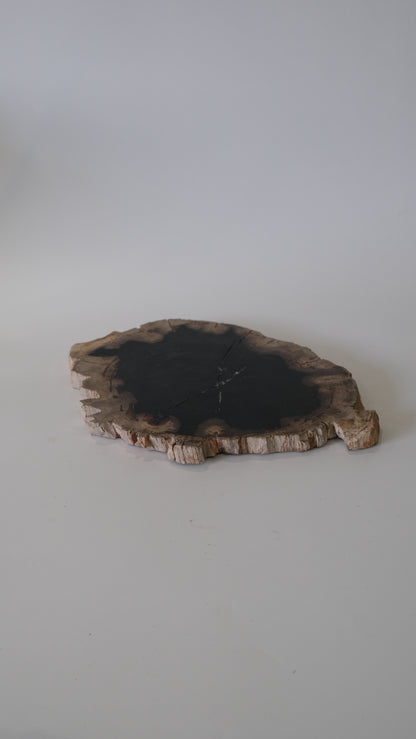 Wood Plate #006