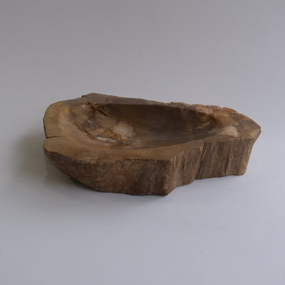 Accessory Tray #244