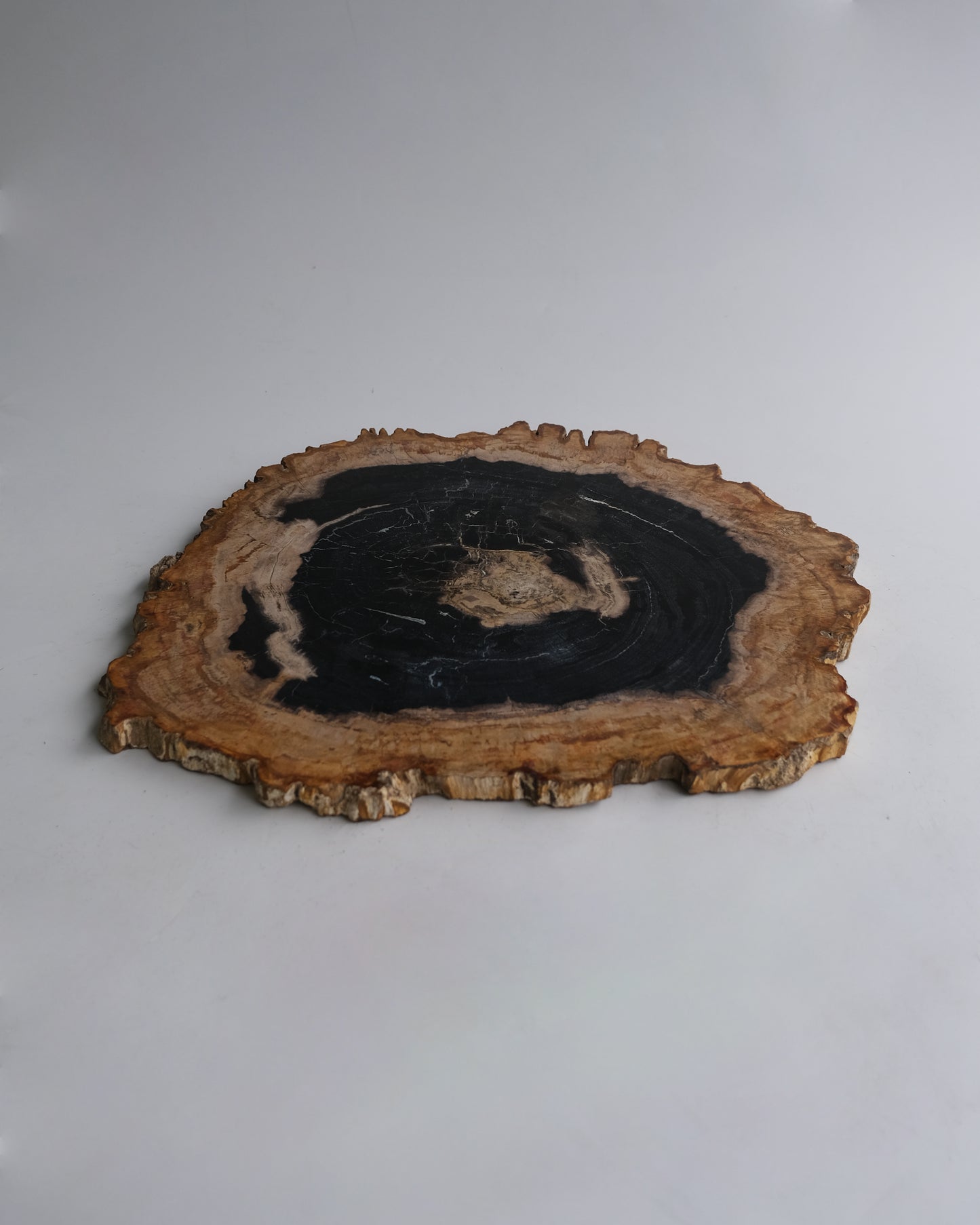 Wood Plate #005
