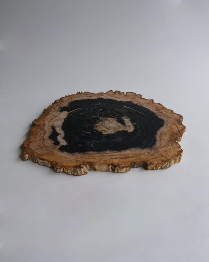 Wood Plate #005