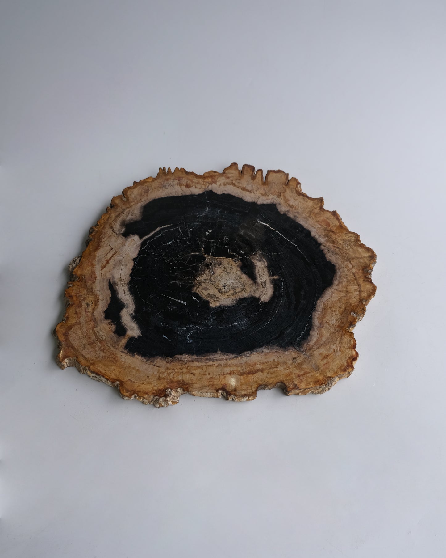 Wood Plate #005