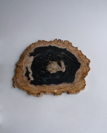Wood Plate #005