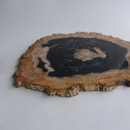 Wood Plate #005