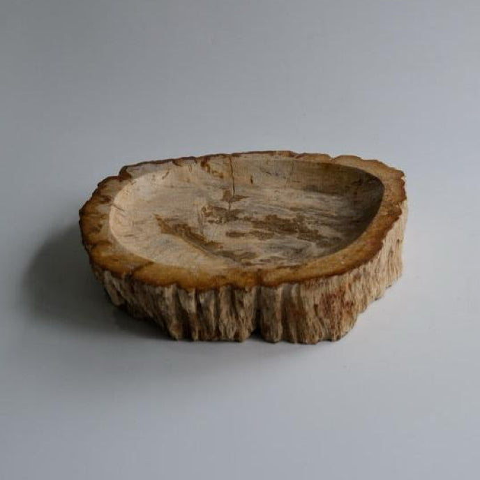 Accessory Tray #204