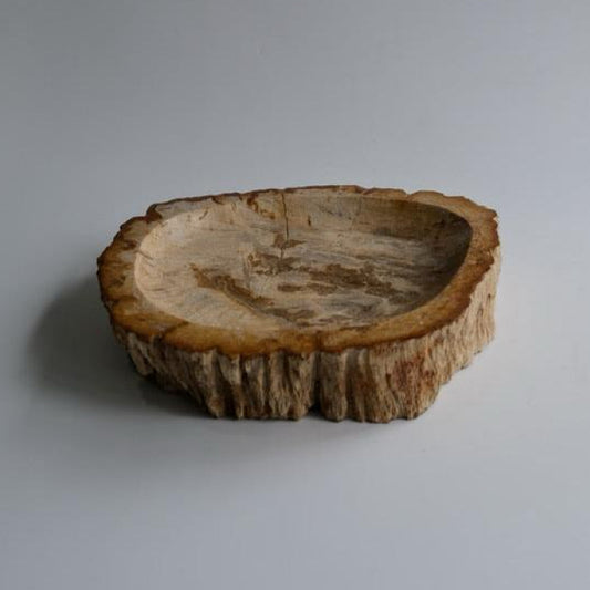 Accessory Tray #204