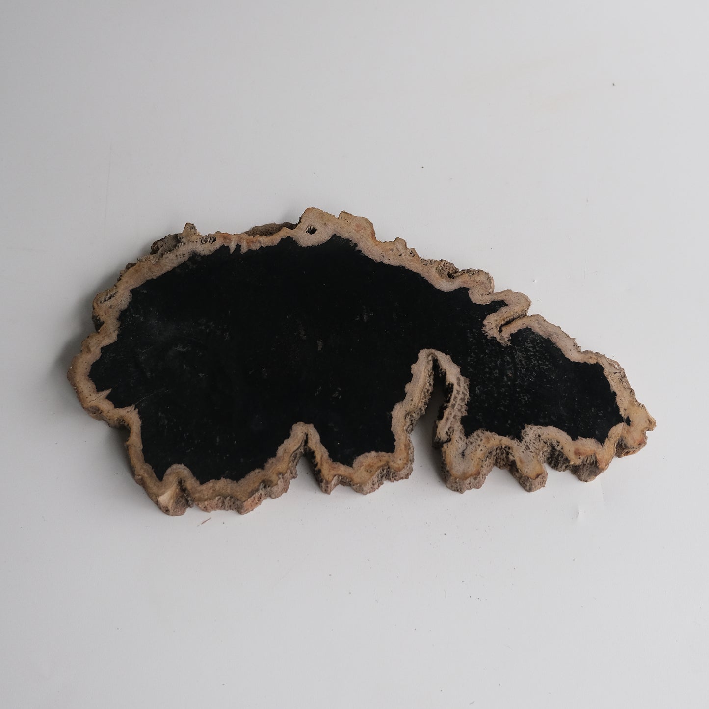 Wood Plate Medium #002
