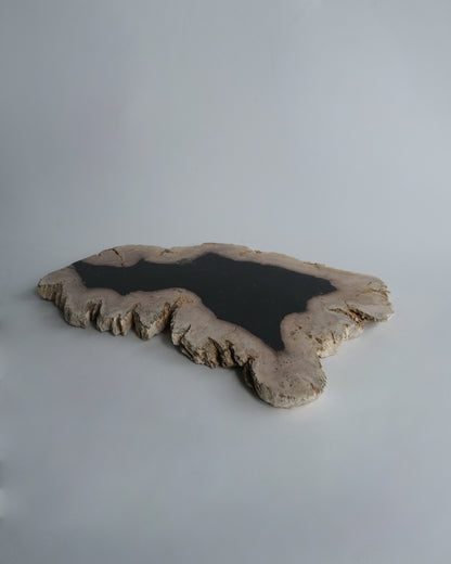 Wood Plate #036