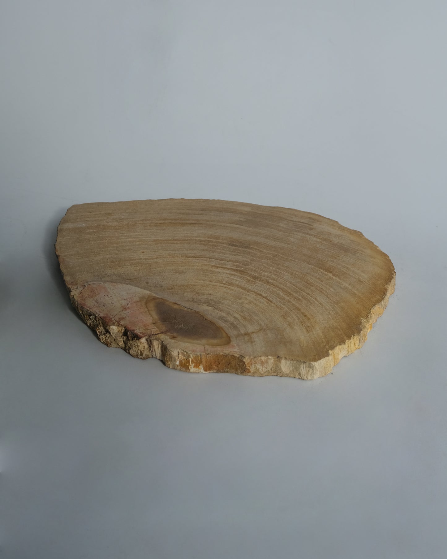 Wood Plate #019