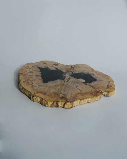 Wood Plate #038
