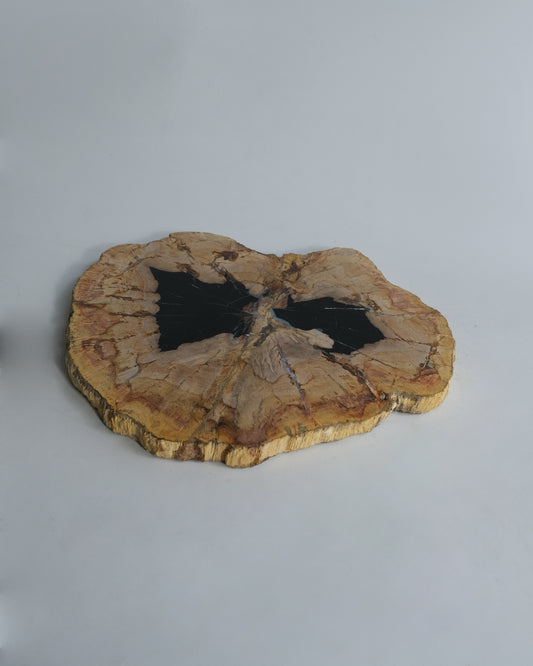 Wood Plate #038