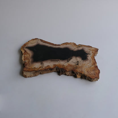 Wood Plate #031