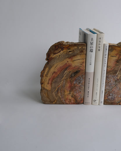 Book End #105