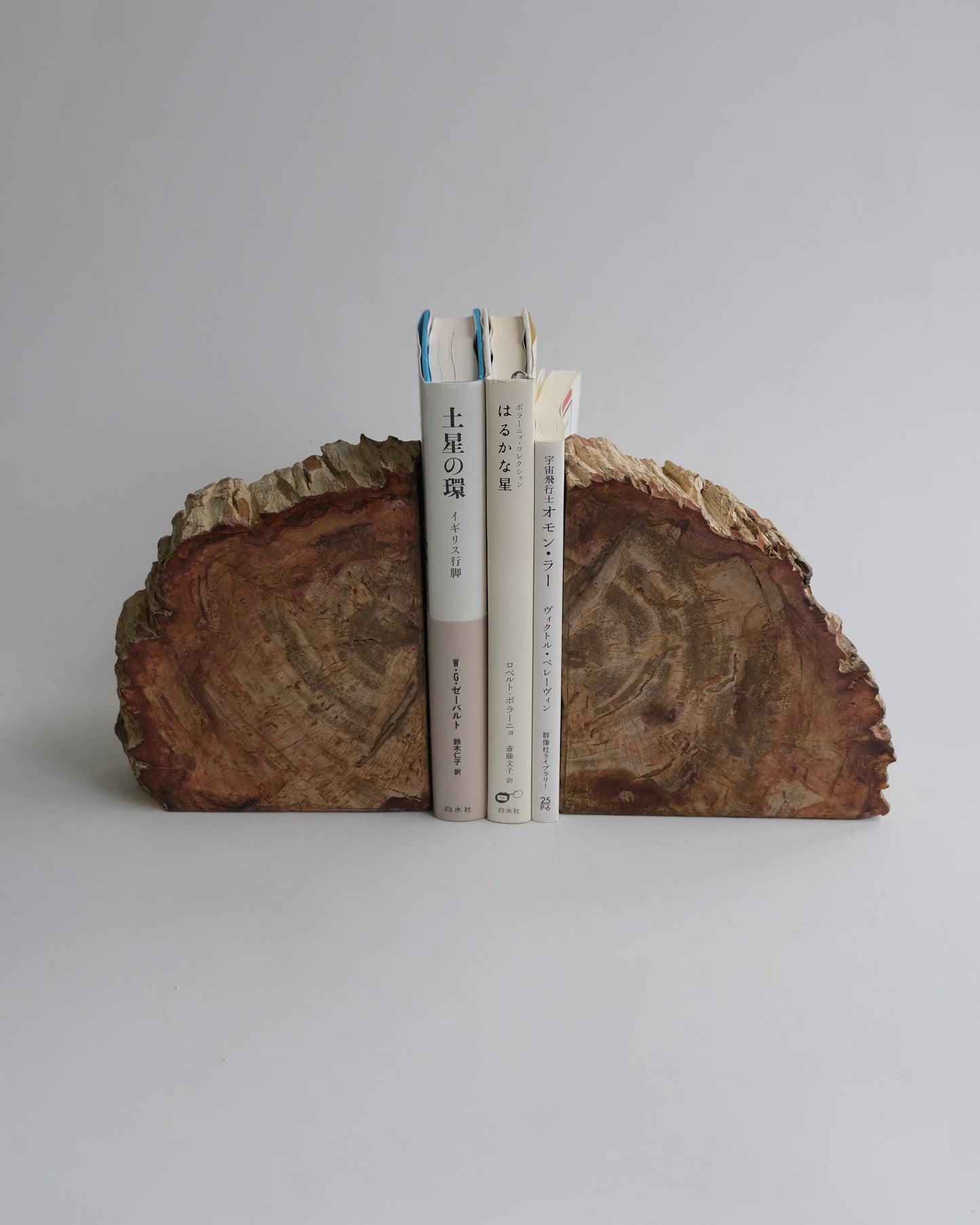 Book End #106